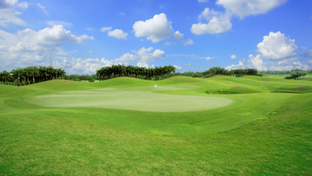 LSC-SERCGC Golf Events.png