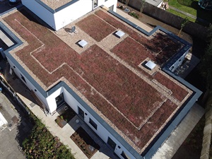 2023 Finalist--Green Roofing--J Randall Roofing Contractors--Elm Road