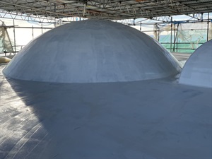 2023 Finalist--Mastic Asphalt--Oxley Asphalte Roofing Services--The Dome
