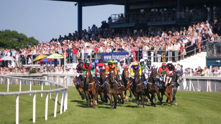 NFRC Northern Ireland Region AGM & Race Day 2025