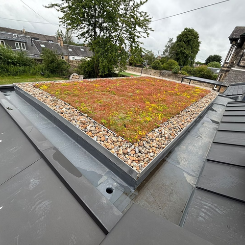 MacKenzie Roofing–Osbourne Terrace, Edinburgh