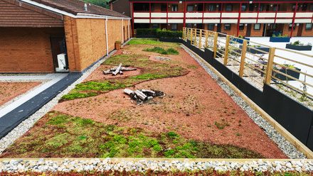 974-Green Roofing-Tesco Weston-Super-Mare-Weatherproofing Advisors Ltd_3.jpg