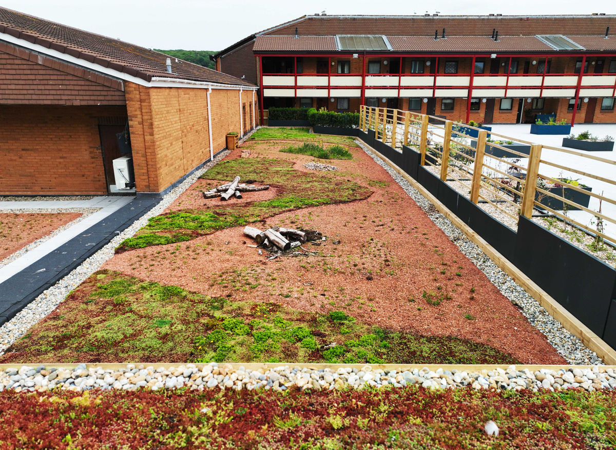 Green Roofing: Weatherproofing Advisors Ltd | Tesco, Weston-super-Mare