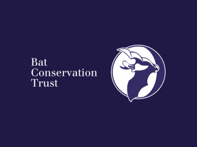 Bat Awareness for the Roofing Industry.png