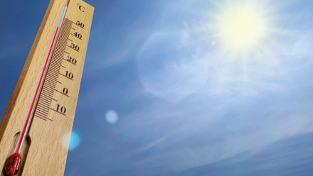 Sun safety blog.png