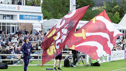 LSC cricket (1).png