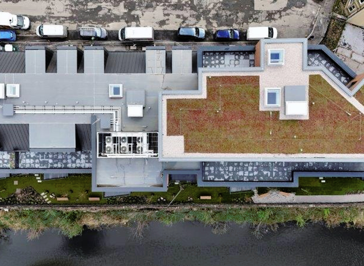 Green Roofing