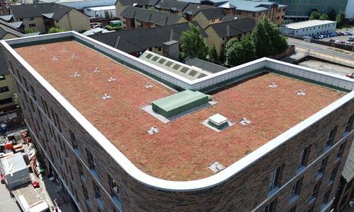 1779-Swan Residences Swan Street Glasgow-Green Roofing-HERO.jpg