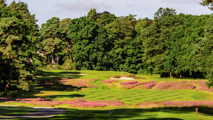 Sunningdale Golf Club.png