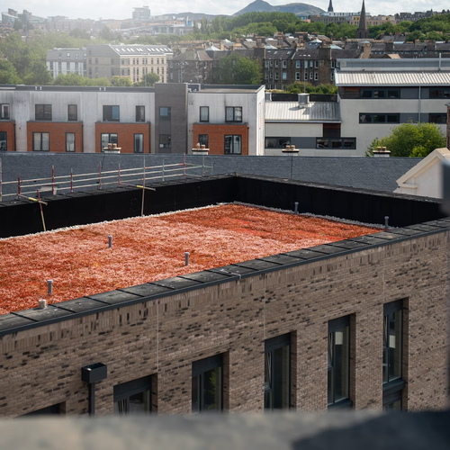 Site Sealants Ltd–Tynecastle Student Accommodation