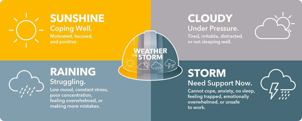 Weather The Storm campaign summary (with icons) v2-3000px.png
