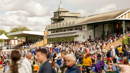 YNE  thirsk races news.png